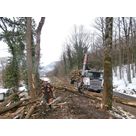 Chargement des bois et transport