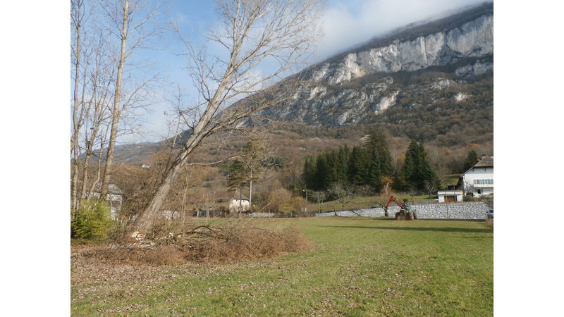 Offres d'emploi -Structure savoyarde "Arbres en Cîmes"